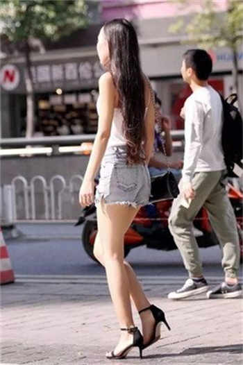 海棠验证码一直错误